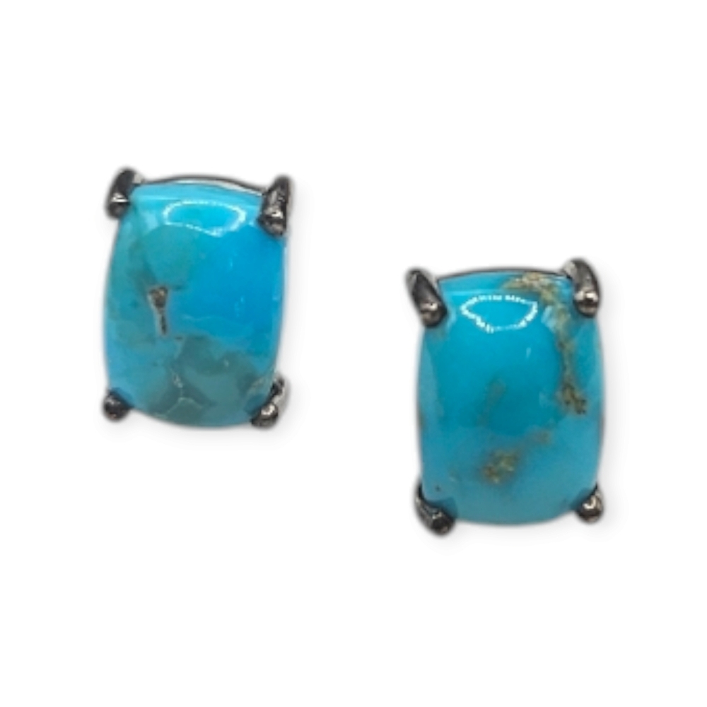 Turquoise Solitaire Earrings